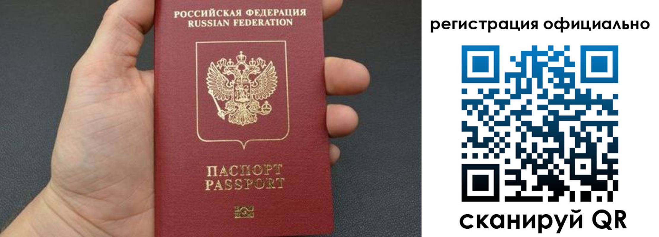 прописка в Курской области